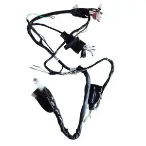 Wiring Harness for Hero Karizma R | Electric Start 2007 Model
