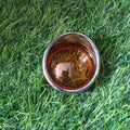 Harley Davidson sportster iron 883 and 48 indicator lens